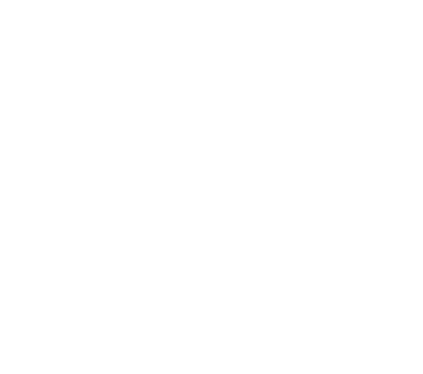static/logo-assemblee-nationale-blanc-blanc.png